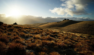 Duffers Sunset - Romer Gallery