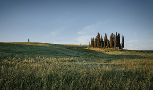 Products: San Quirico d'Orcia - Romer Gallery