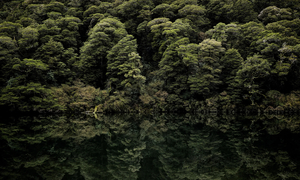 Products: Lake Lochie - Romer Gallery