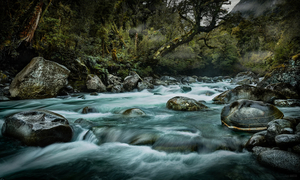 Products: Gulliver River 02 - Romer Gallery
