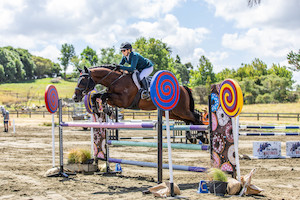 Ridden Sales Horses: Burley RF