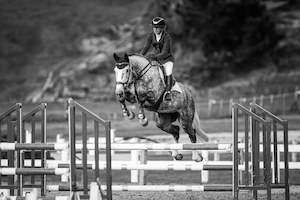 Ridden Sales Horses: Countessa RF