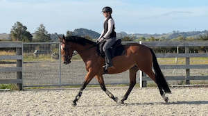 4yos: Classic Affair RF