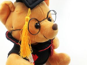 Scholastic Celebration Bear