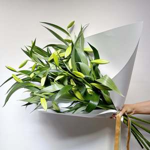 The Christmas Collection: Christmas Lilies En Masse