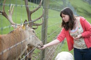 Agrodome Farm Experience - Rotorua Super Passes - Discounts & Deals