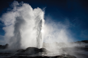 Te Puia – Te Ra Guided Experience - Rotorua Super Passes - Discounts & Deals