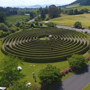 Products: aMAZEme Hedge Maze - Rotorua Super Passes - Discounts & Deals