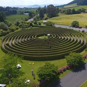 Products: aMAZEme Hedge Maze - Rotorua Super Passes - Discounts & Deals