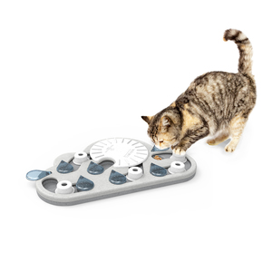 Rainy Day CAT Puzzle & Play - Rottweiler Rescue