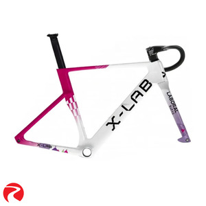 X-LAB AD9 Frameset Laboral Kutxa