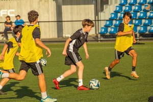Products: Advanced - Roy D: Performance Coaching