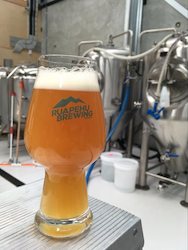 Merch: IPA Glass 540ml