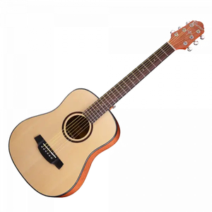 Acoustic Guitar - Rubbish Pickup