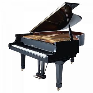 Grand Piano - Rubbish Pickup