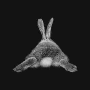 Prints: Cotton Tail - Black Box Frame(15.5cm x 15.5cm)