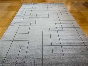 Modern Luxurious textured Trentino Rug Size: 200x290cm (41029-7131)