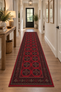Traditional Beluchi Design Runner Size: 65cm x 210cm (961555-1616)