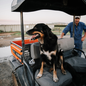 Seat Covers to suit Polaris Ranger 570SP 2022+ ATV