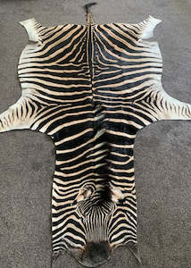 Real Zebra Skin Hide Rug (Premium Quality A Grade)
