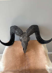 Authentic Hand Carved Ram Skull