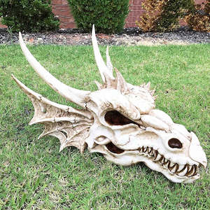 Fossil Statue of Erathia Dragon Elder Skull Fossil Statue for Medieval Dragon Ag&hellip;