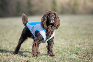 HUGO & HUDSON Cooling Vest - BLUE