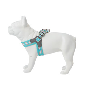 HUGO & HUDSON Easy Step-In Harness - Aqua