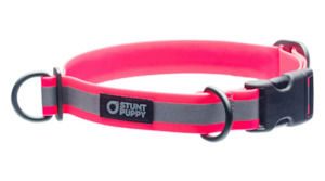 STUNT PUPPY Dry Collar - GLO PINK