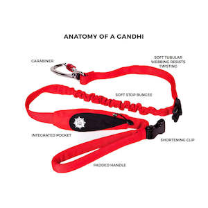 STUNT PUPPY Scout Lead with Carabina clip - Red