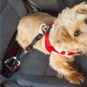 Dog Harness: CURLI Safety Belts