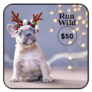 Christmas Run Wild Gift Card
