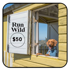 Run Wild Gift Card