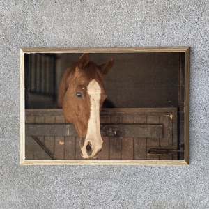 Bevel Edged Horse Print – Rustic Printz Limited