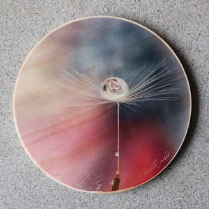 Products: Photography by Roxanne – Butterfly in Water Droplet – Rustic Printz Limited