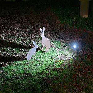 SolarGlow LED Garden Lights – Illuminate Your Outdoor Art