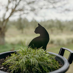 Gifts 1: Chairman Meow