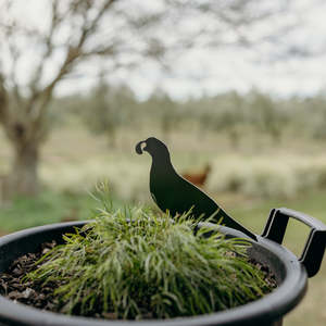 Gifts 1: Susan The Quail Parent