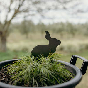 Gifts 1: Warren Peace the Sitting Rabbit