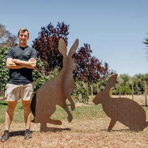 Giant Hares