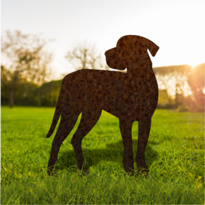Gifts For Men: Great Dane