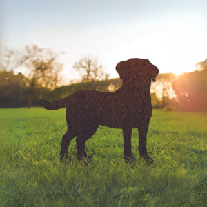 Gifts For Men: Labrador