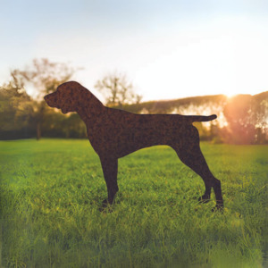 Gifts For Women: German Shorthaired Pointer