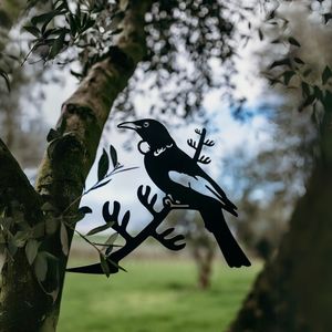 Native Birds: Tui