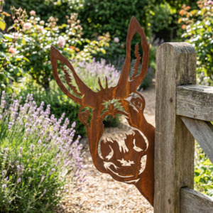 Farm Animals: Peeking Donkey