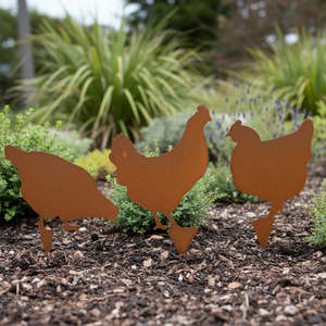 Farm Animals: Chickens