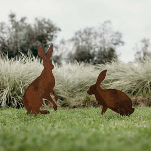 Favorite Animals: Hares