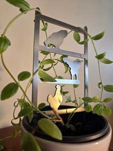 In Stock: Chicken Plant Climber