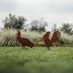 In Stock: Roosters
