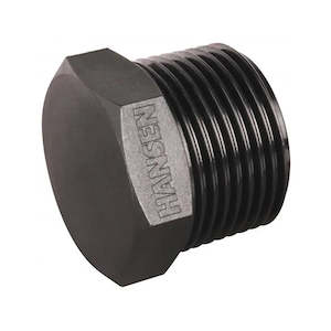 Plumbing Water: Hansen 32mm Hex Plug